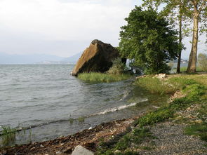 浪浪浪水上公园（浪浪浪水上公园有哪些项目）