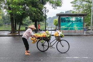 大庆大草原旅游景点（大庆附近的草原怎么样）