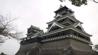 福建宁德鲤鱼溪风景区（福建鲤鱼溪的历史）