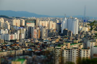 黑龙江最著名旅游景点（黑龙江最著名的旅游景点）