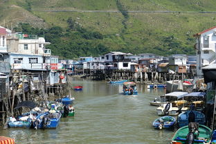 肇庆象山旅游景点（肇庆象山旅游景点大全）