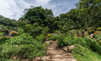 防城港簕山古渔村赶海（防城港山新沙滩赶海）