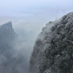 去云南西双版纳旅游最佳时间（去云南西双版纳旅游最佳时间是几月）