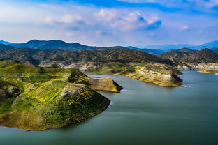 南山书城到海岸城怎么走（南山到南山书城怎么坐地铁）