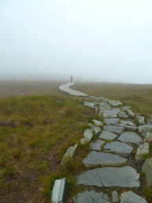 保山市里旅游景点有哪些（保山市区旅游景点大全）