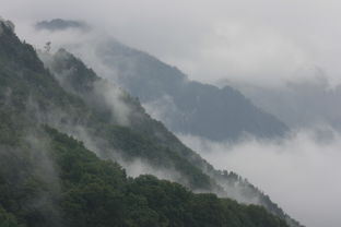 云南讲武堂门票预约（云南讲武堂联系电话）