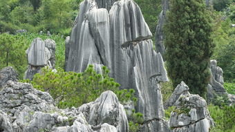 推荐春节云南旅游线路（春节云南旅游必去的景点）