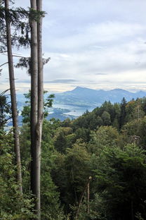 西岭雪山山底海拔（西岭雪山海拔多少）