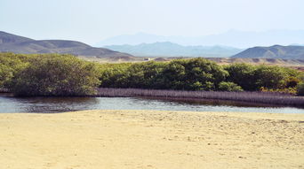 扬州运河生态旅游现状（扬州运河旅游路线）