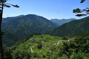 云南旅游的景点推荐（云南旅游景点推荐适合带孩子）