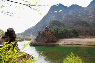 沈阳逛街的地方排行榜（沈阳逛街去哪里比较好）