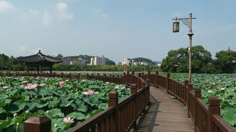 北京风景年票怎么用（北京风景年票官网微信公众号）