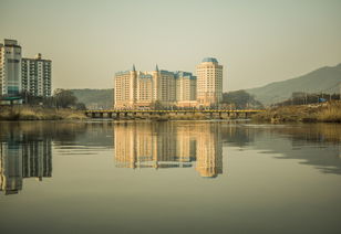 舟山普陀寺是北普陀吗（舟山普陀寺是北普陀吗为什么）