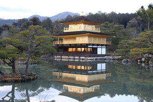 一辈子都没有旅行（从来没有旅行过）