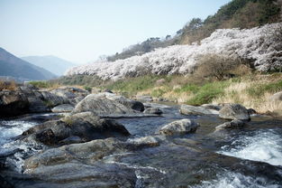 云南花千谷景区在哪里（云南花千谷阅读小镇）