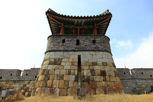 塘朗山郊野公园有金雕吗（塘朗山野生动物）