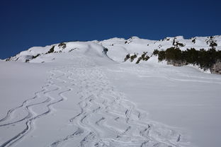 休宁春天旅游景点介绍（休宁旅游景点大全）