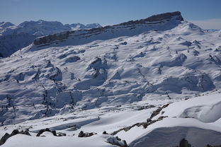 云南旅游玉龙雪山介绍（云南玉龙雪山玉龙雪山）