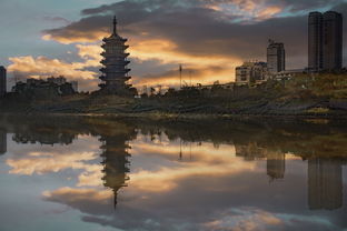 飞来寺在云南哪个市（飞来寺在哪儿）