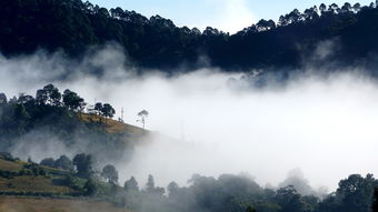 湖南天门山景区简介（湖南天门山旅游）