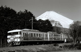 华山玉泉院路线（华山玉泉院住宿攻略）