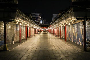 贝子庙旅游口号（贝子庙夜景）