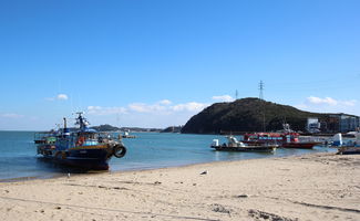 去灵山岛费用（去灵山岛一天有几班船）