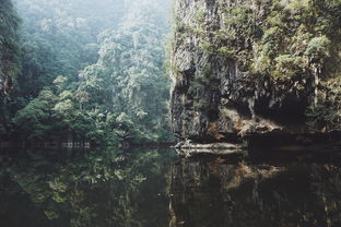 云南旅游几月去最合适（云南旅游几月份去好）