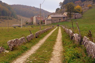 大埔西岩山住宿（大埔西岩山住宿价格）