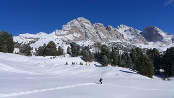 徽山牯牛降大雪坪（牯牛降大山村）