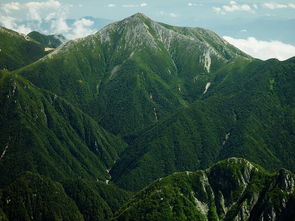 黄山风景区昨天开放吗（黄山这几天开放吗）