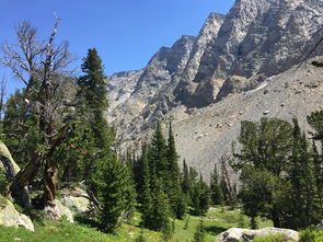 黄山风景区昨天开放吗（黄山这几天开放吗）