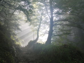 陕西山阳县属于哪个市（百度陕西山阳县属于哪个市）