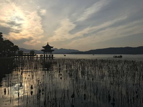 杭州西湖几月份旅游最好（几月的杭州西湖最美）