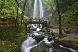 镜泊湖风景区里面有村子吗（镜泊湖好不好玩）