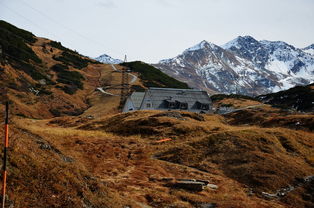 那山那海里的畲族是哪里（山东那山海品牌管理有限公司）