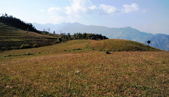 塞罕坝草原旅游攻略（塞罕坝草原景点）