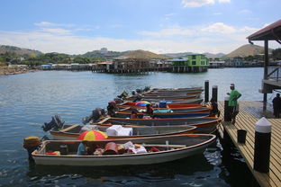 萨嘎县旅游景点（萨嘎县旅游景点大全）