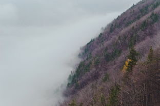 云南东川红土地旅游住宿（云南东川红土地最好酒店）