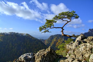 景星岩盘山公路（景星岩盘山公路的起点）