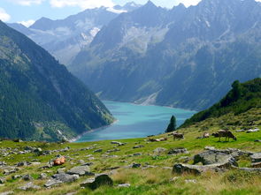 唐县香山海拔多少米（唐县香山门票）