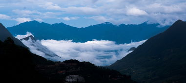 竹山县罗家坡村（竹山县罗家坡村书记是谁）