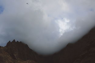 云南大山包海拔高度是多少（云南大山包风景区门票）