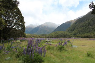 云南高黎贡山自然保护区（云南高黎贡山国家级自然保护区）