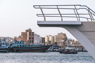 黄河谷马拉湾海浪浴场（黄河谷马拉湾海浪浴场电话）