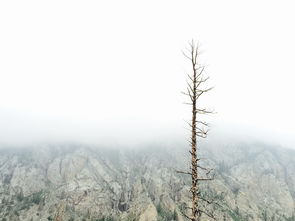 山水风景区有哪些景点（山水名胜风景区）