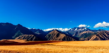 东北冬季旅游必去景点（东北冬天景点）