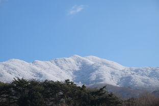 密山市裴德峰（密山裴德峰海拔多少）