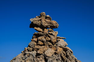 著名的黄山四绝是指什么（黄山四绝哪个最著名）