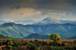 云南研山县在哪里（研山风景区）